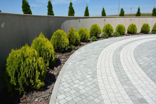 Best Concrete Paver Driveway  in Carey, OH